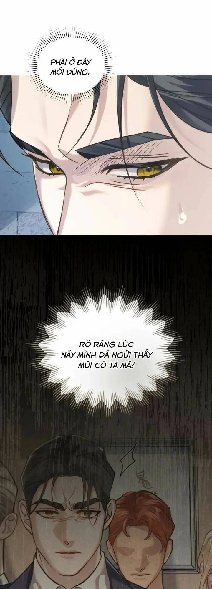 Chàng Người Sói Phát Điên Vì Tôi Chapter 10 - 27