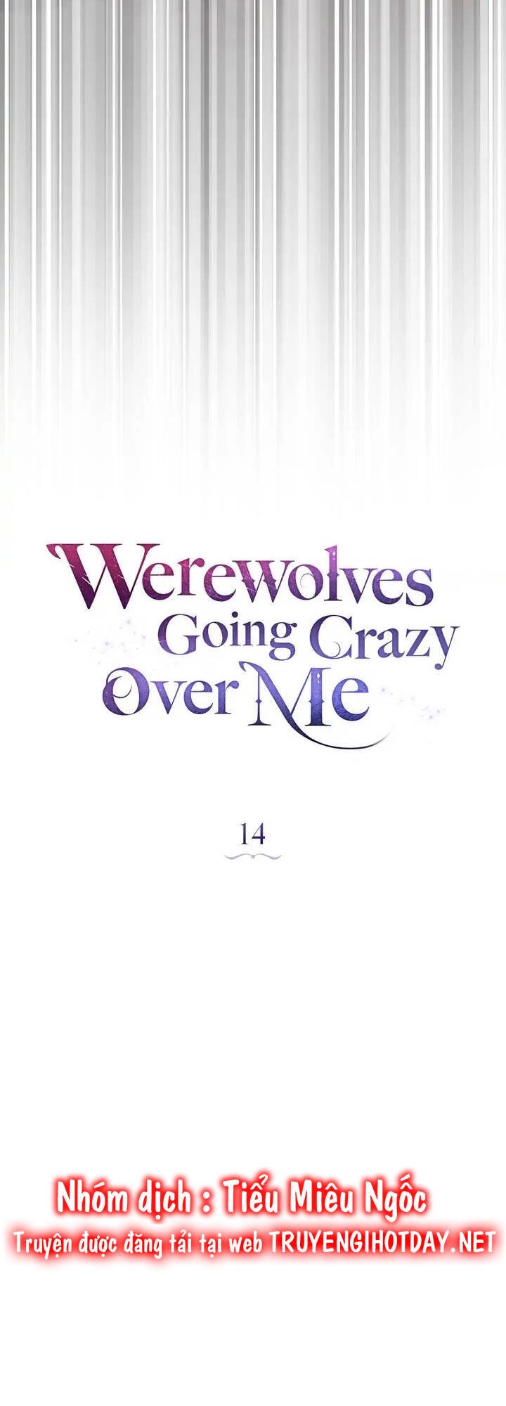 Chàng Người Sói Phát Điên Vì Tôi Chapter 14 - 24