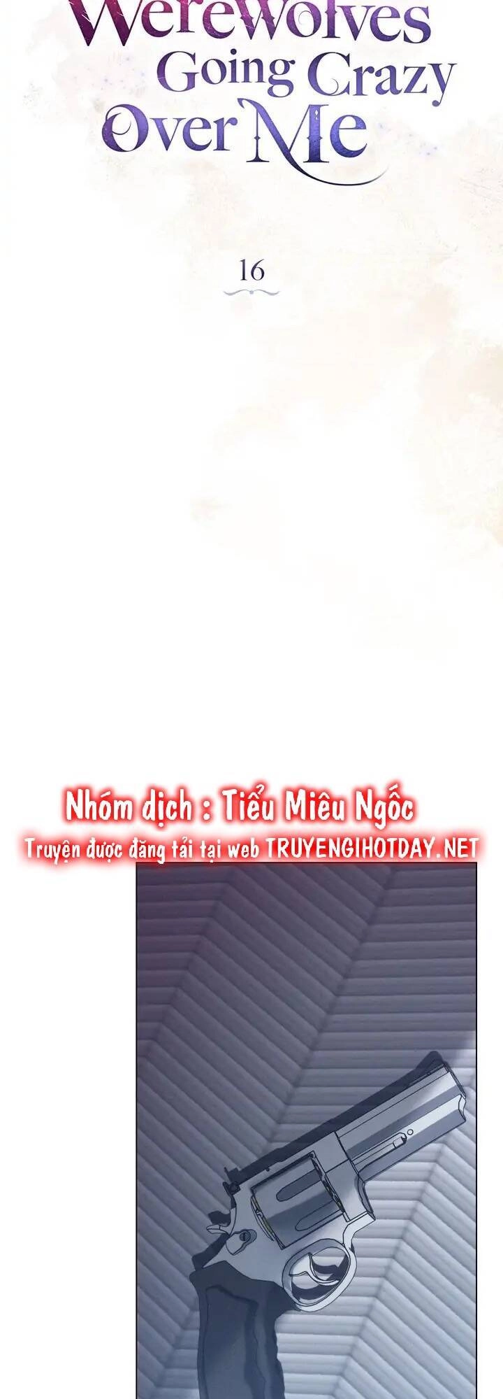 Chàng Người Sói Phát Điên Vì Tôi Chapter 16 - 12