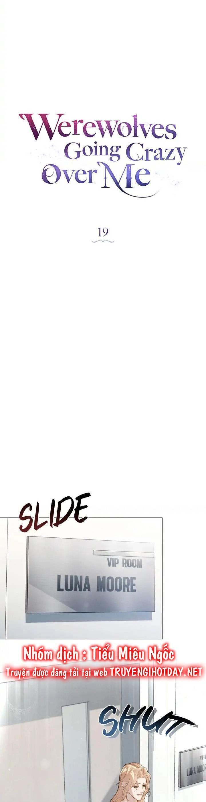 Chàng Người Sói Phát Điên Vì Tôi Chapter 19 - 6