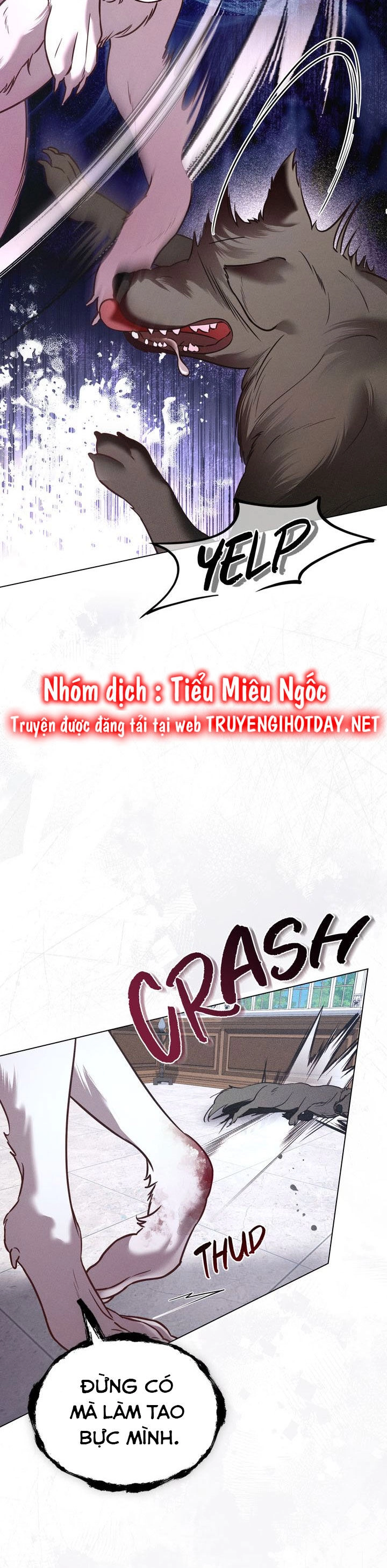 Chàng Người Sói Phát Điên Vì Tôi Chapter 37 - 9