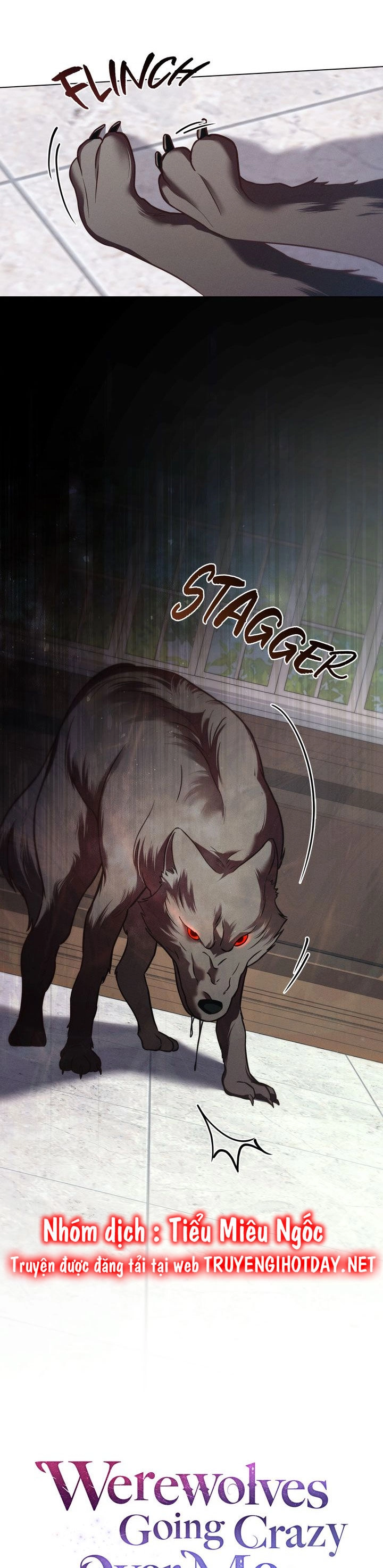 Chàng Người Sói Phát Điên Vì Tôi Chapter 37 - 11