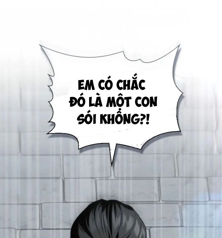 Chàng Người Sói Phát Điên Vì Tôi Chapter 39 - 21