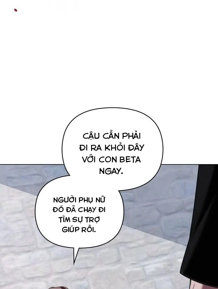 Chàng Người Sói Phát Điên Vì Tôi Chapter 39 - 73