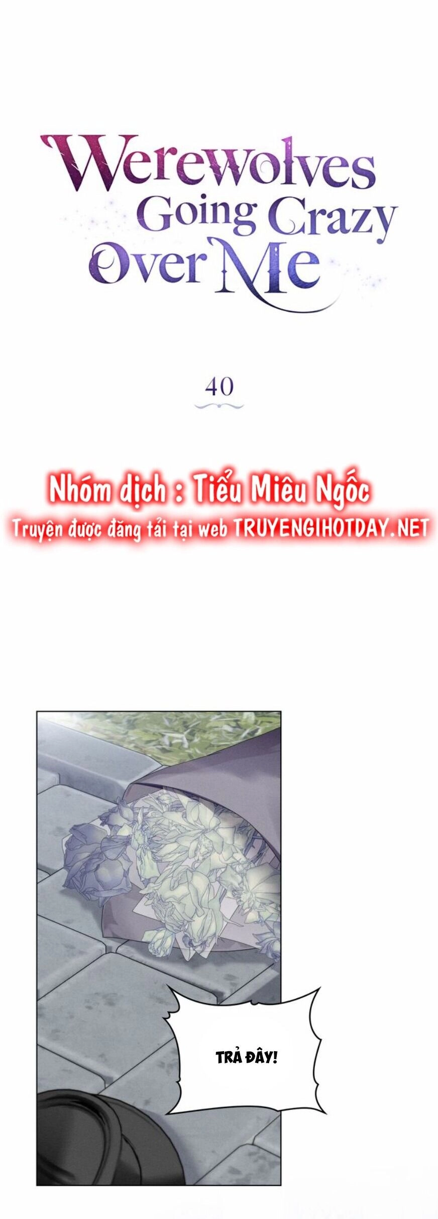 Chàng Người Sói Phát Điên Vì Tôi Chapter 40 - 11