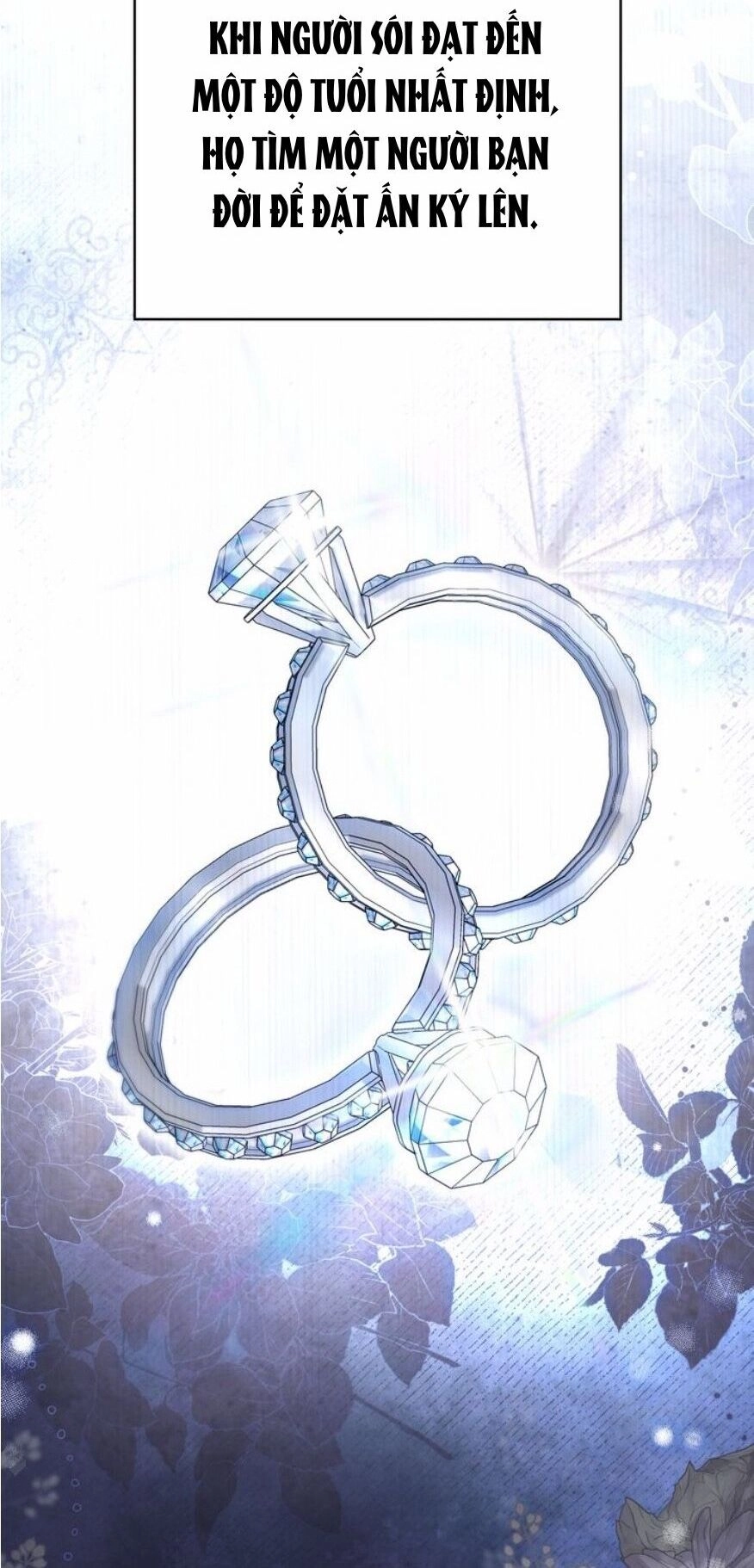 Chàng Người Sói Phát Điên Vì Tôi Chapter 42 - 13