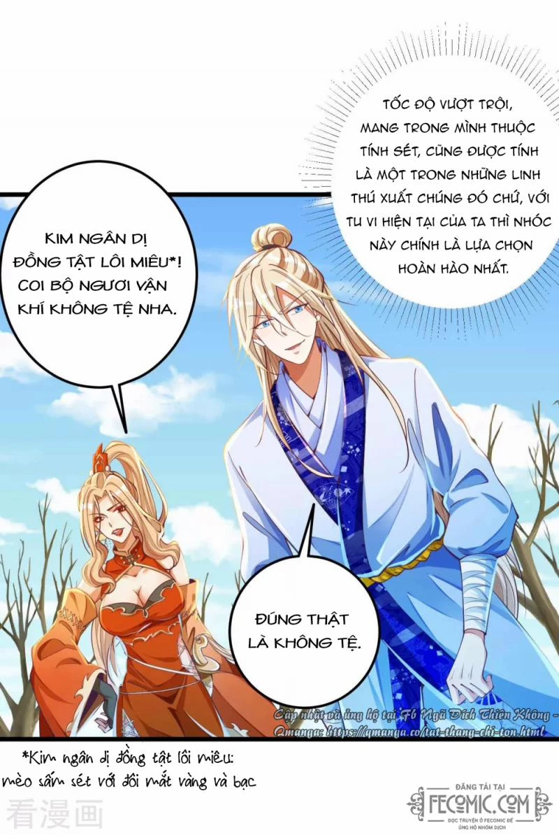 Tất Thắng Chí Tôn Chapter 15 - 20