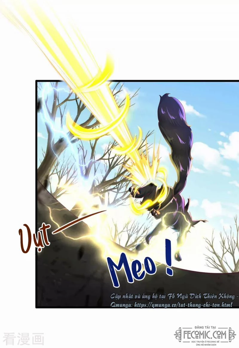 Tất Thắng Chí Tôn Chapter 15 - 22