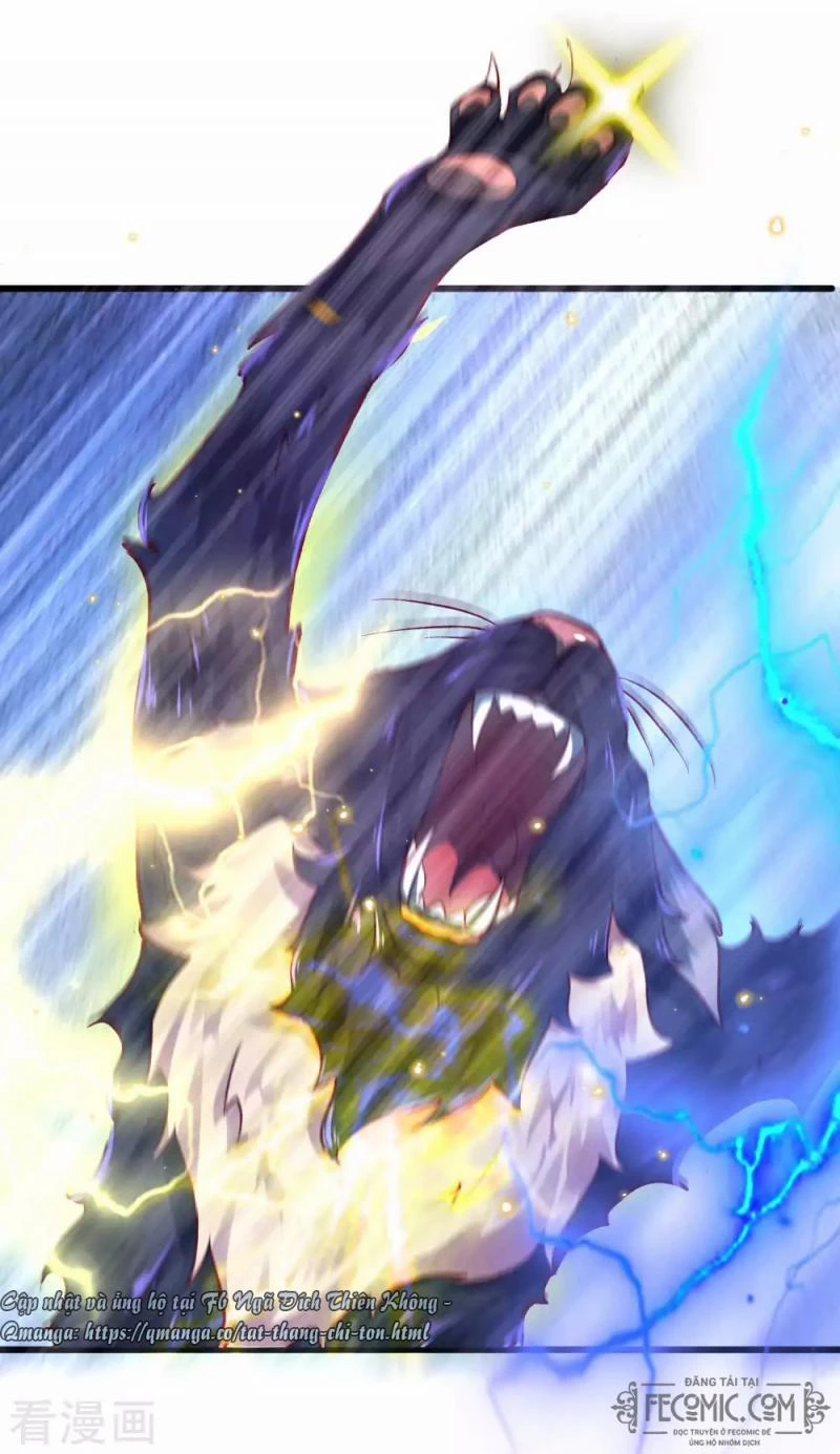 Tất Thắng Chí Tôn Chapter 17 - 27