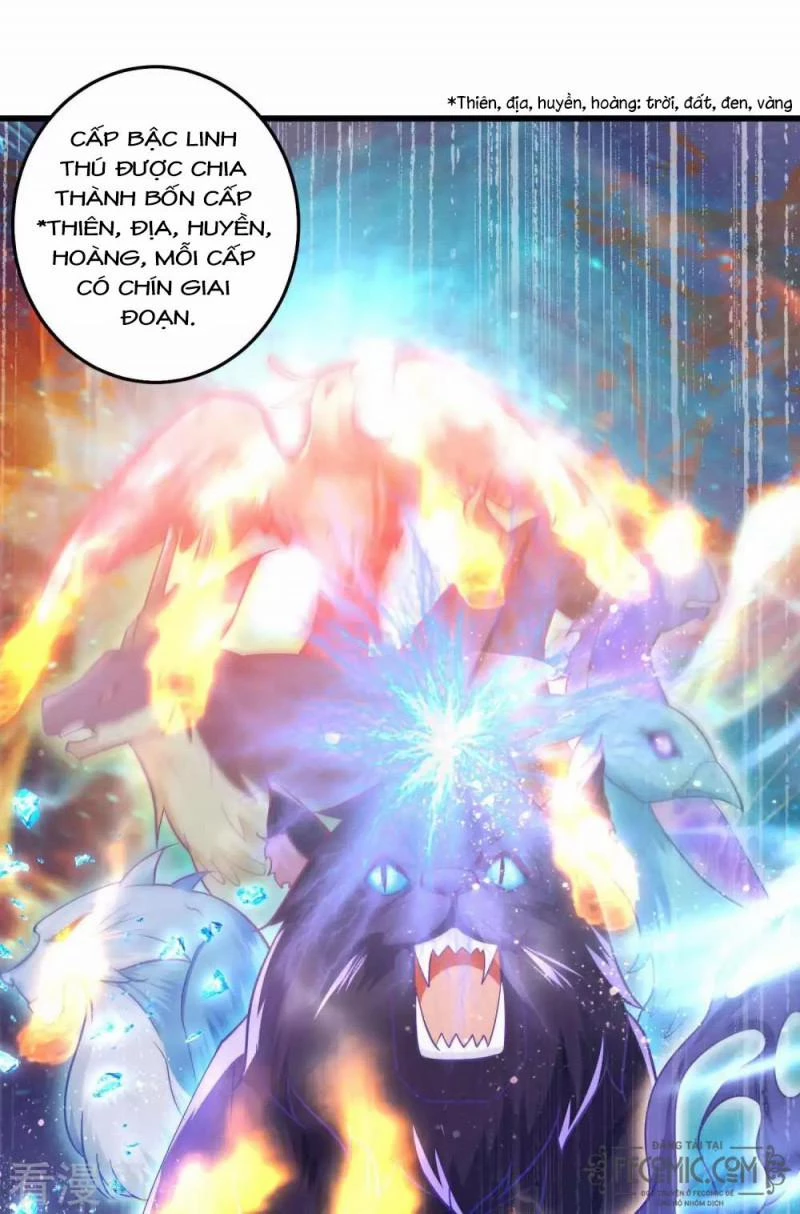 Tất Thắng Chí Tôn Chapter 23 - 35