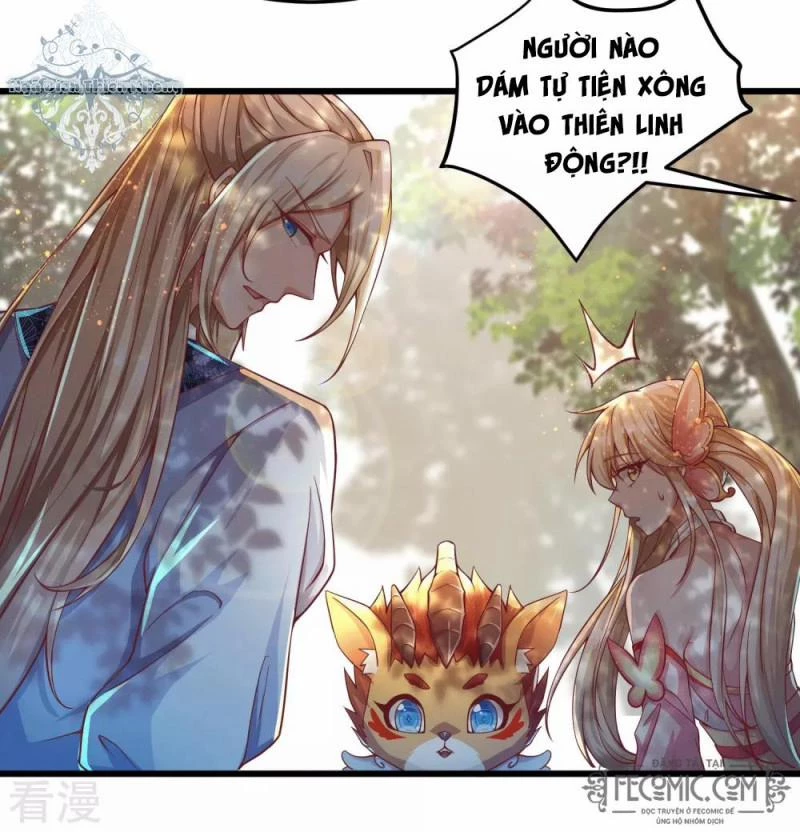 Tất Thắng Chí Tôn Chapter 24 - 29