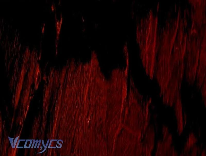 Hãy Dạy Em Cách Khao Khát Chapter  57 - 97