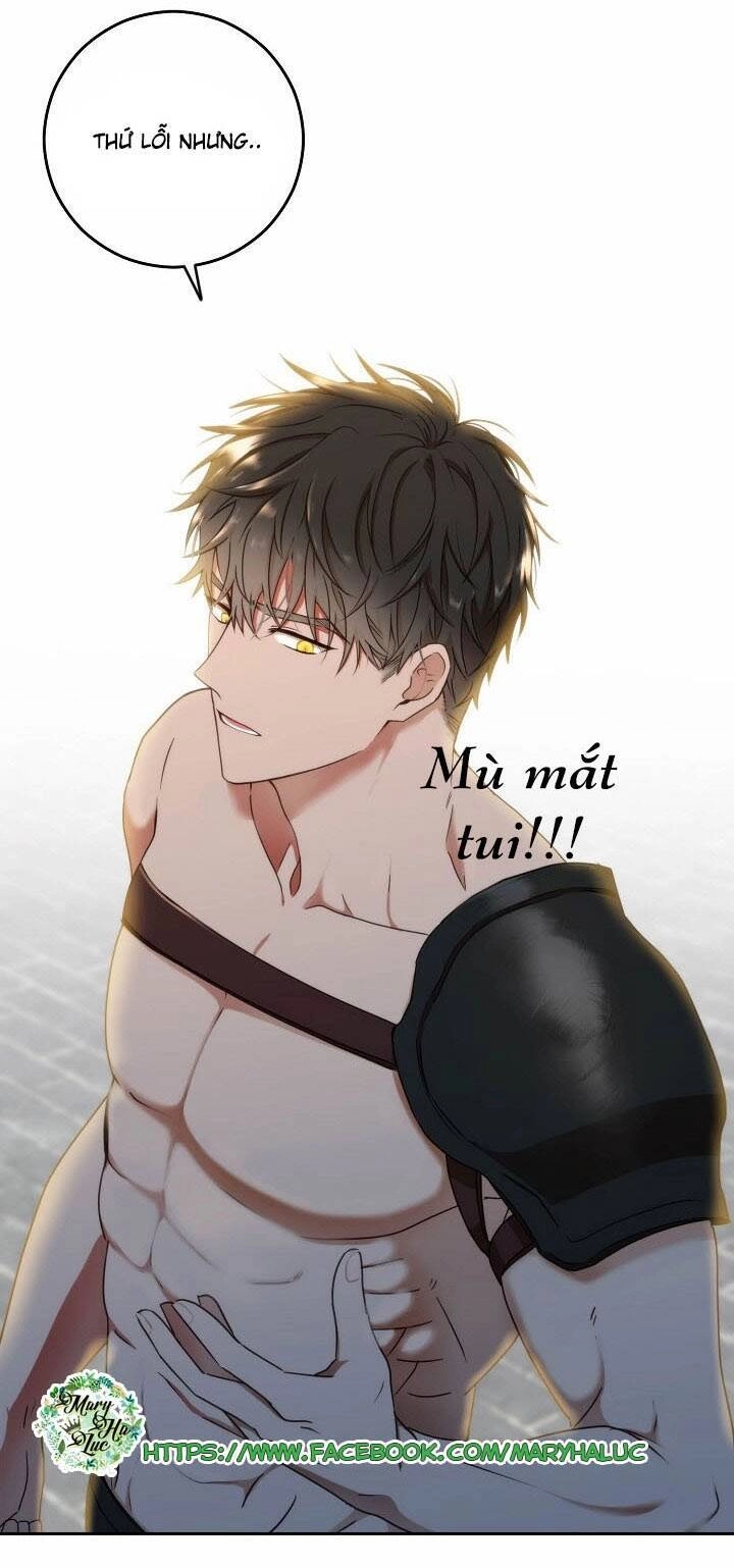 Tôi Lạc Vào Thế Giới Trò Chơi Harem Ngược Chapter 16 - 42