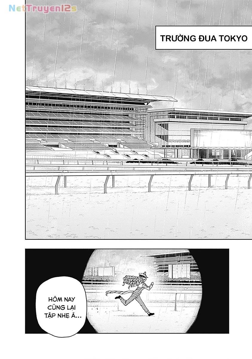 Uma Musume: Cinderella Gray Chapter 50 - 9