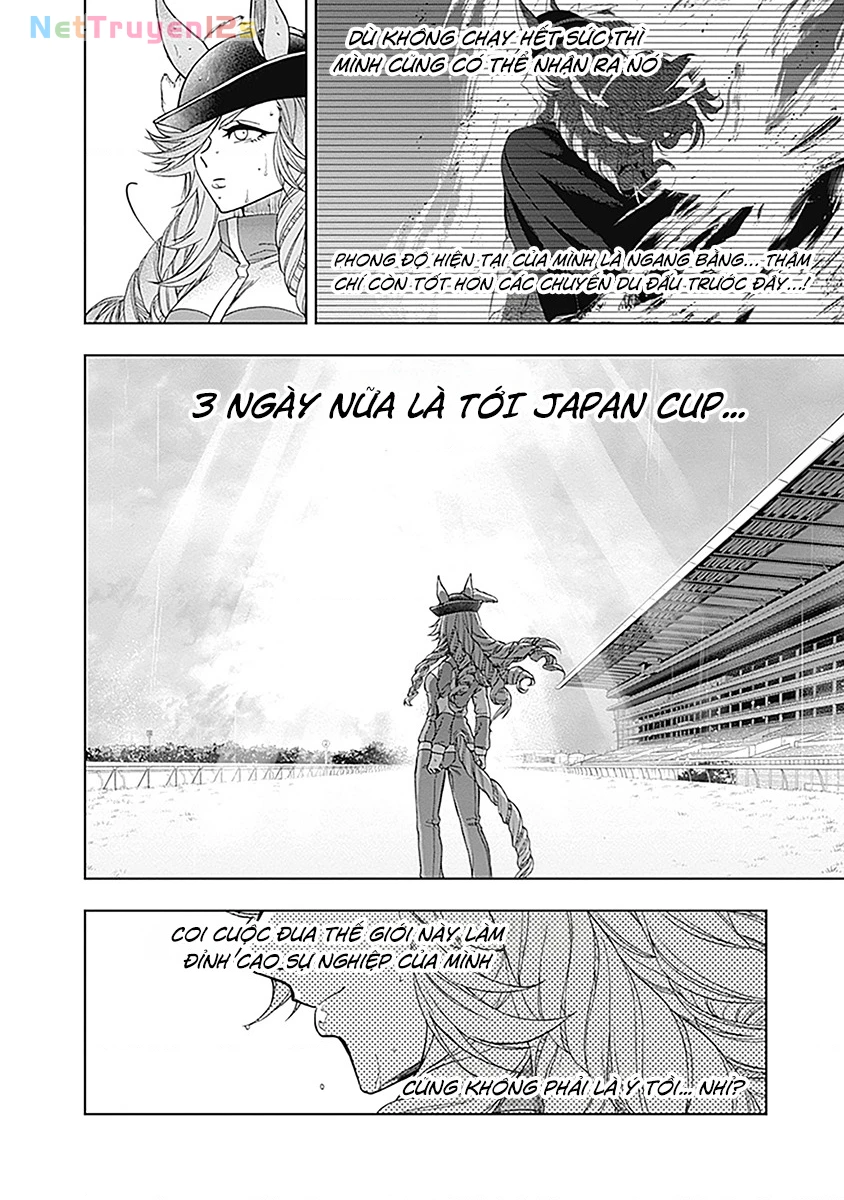 Uma Musume: Cinderella Gray Chapter 50 - 11