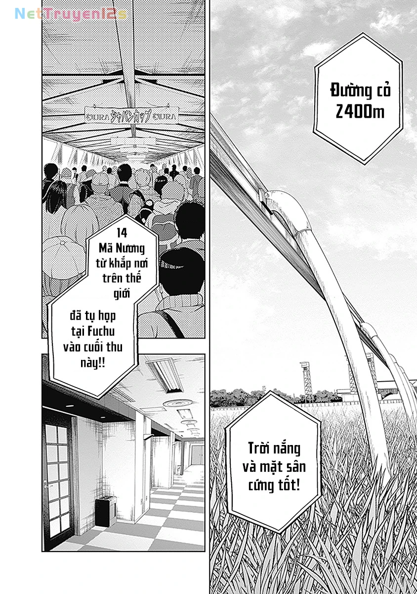 Uma Musume: Cinderella Gray Chapter 51 - 4