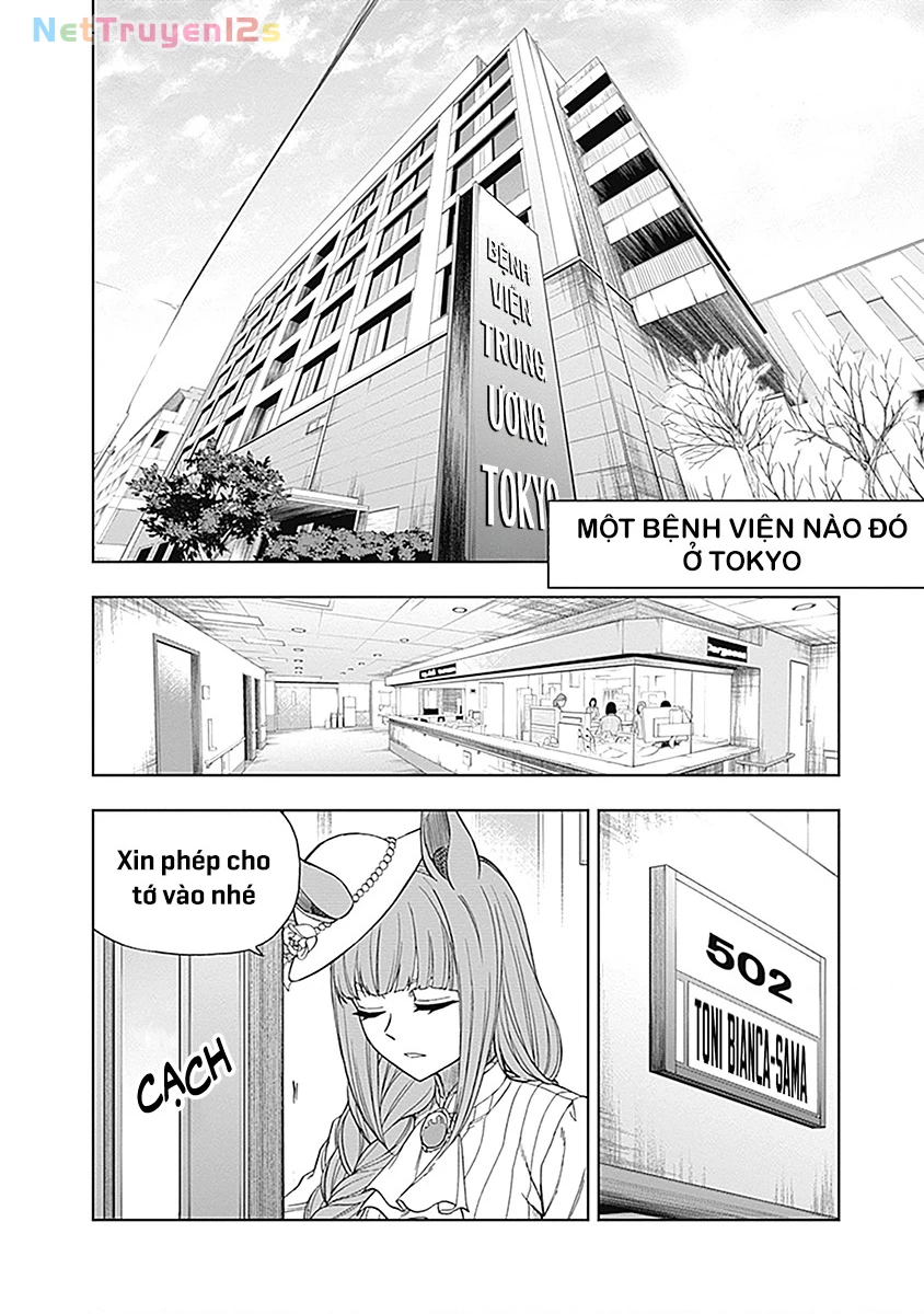 Uma Musume: Cinderella Gray Chapter 59 - 11