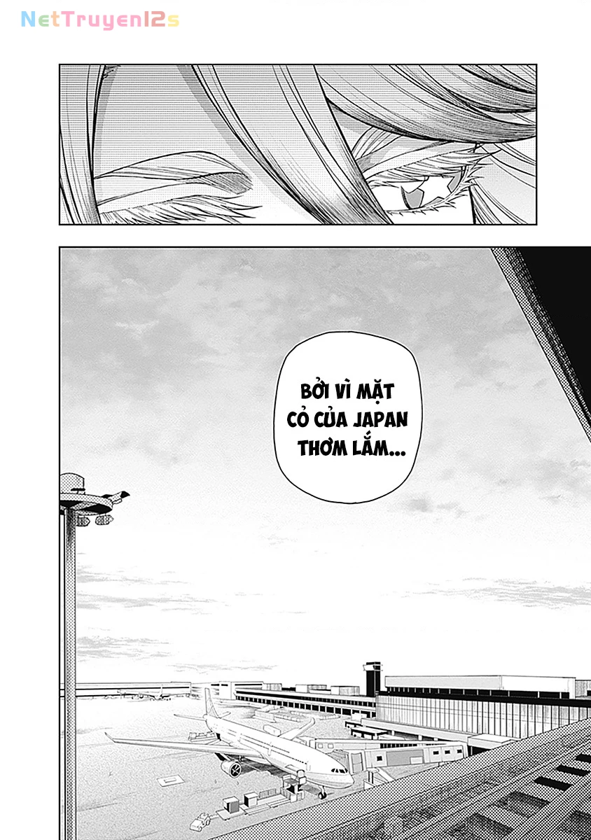 Uma Musume: Cinderella Gray Chapter 59 - 17
