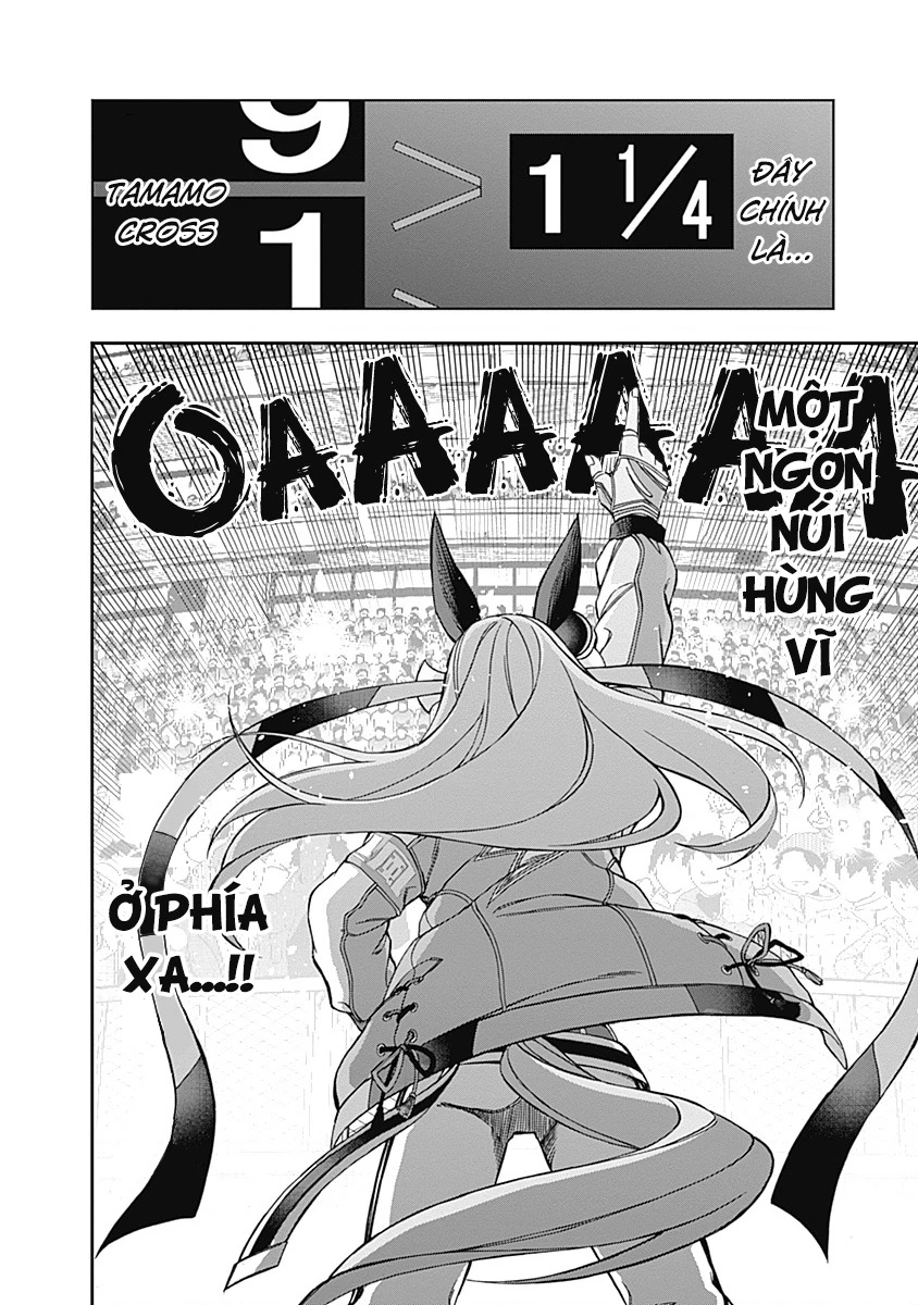 Uma Musume: Cinderella Gray Chapter 43 - 19