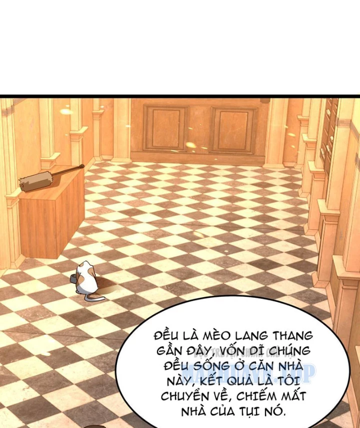 Phổ La Chi Chủ Chapter 15 - 82