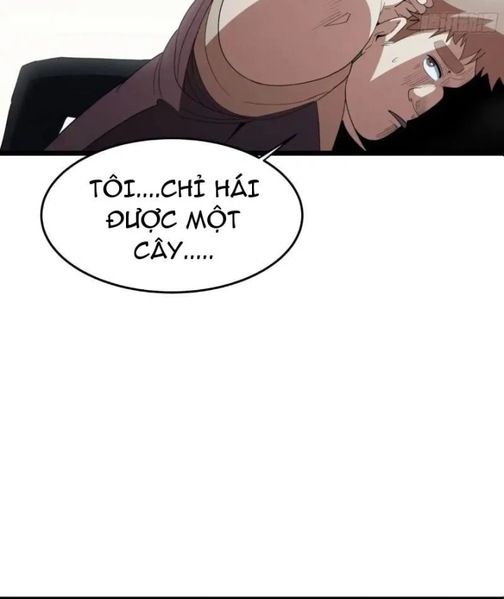 Phổ La Chi Chủ Chapter 22 - 40