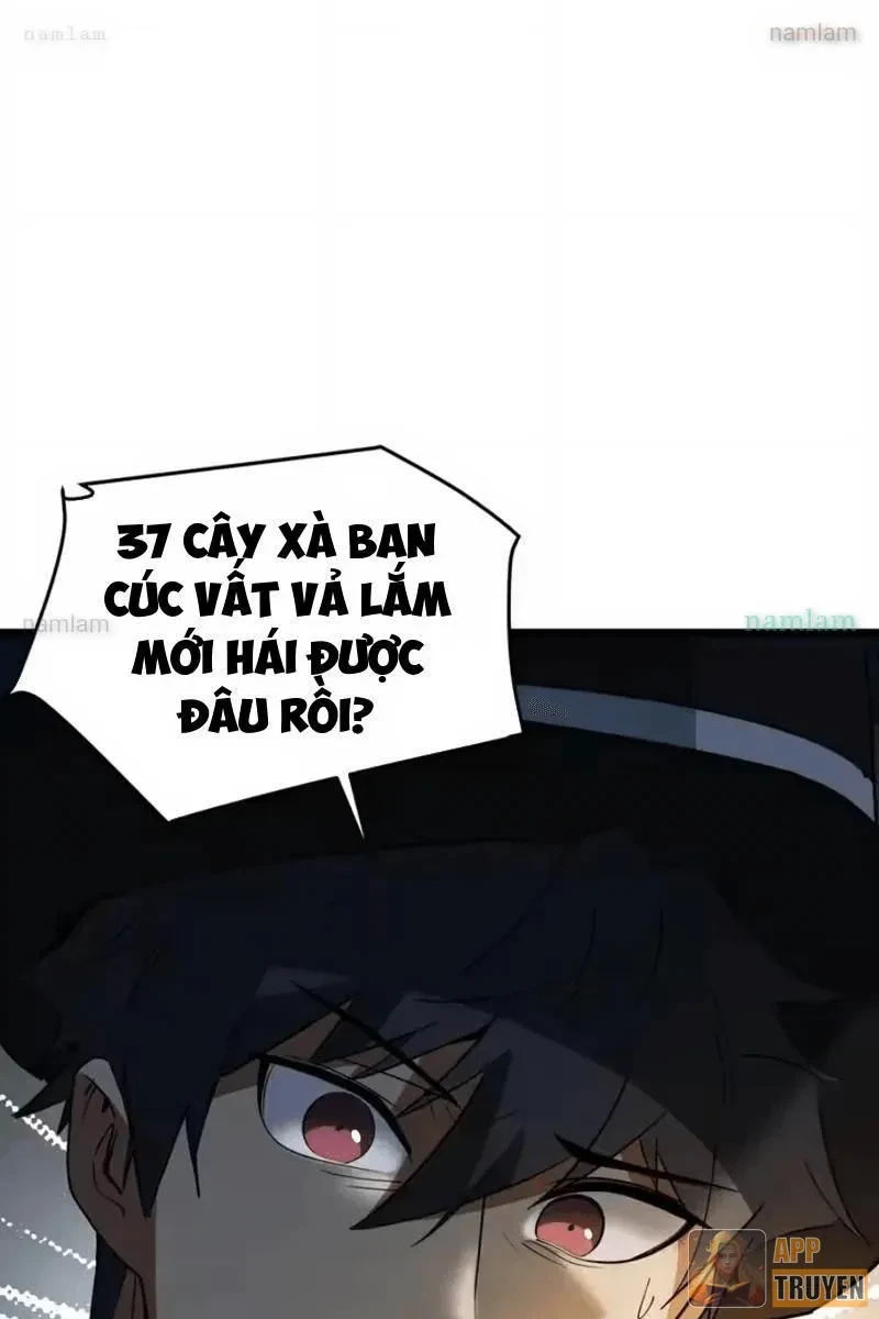 Phổ La Chi Chủ Chapter 24 - 26