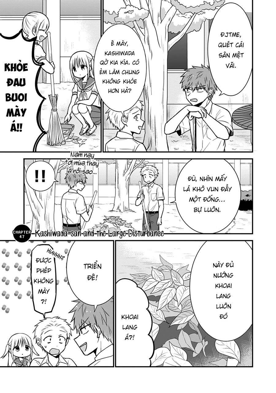 Kao Ni Denai Kashiwada-San To Kao Ni Deru Oota-Kun Chapter 47 - 3