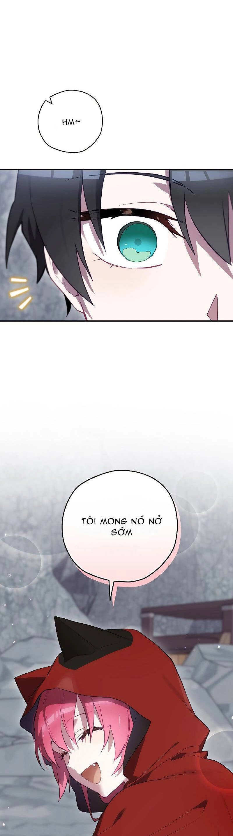 Kẻ Phán Quyết Chapter 53.2 - 13