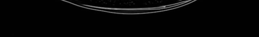 Giáo Dục Chân Chính Chapter 100 - 12