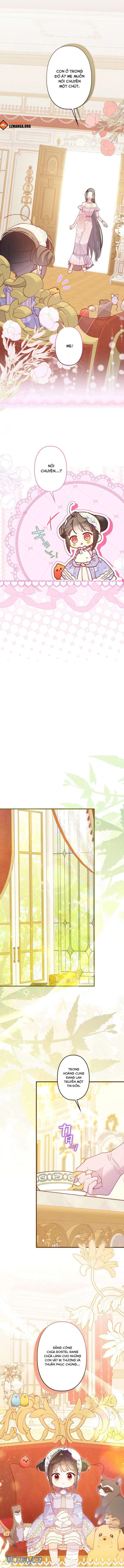 Kiếp Này Em Sẽ Không Sống Dưới Cái Bóng Của Người Chị Song Sinh Chapter 26 - 8