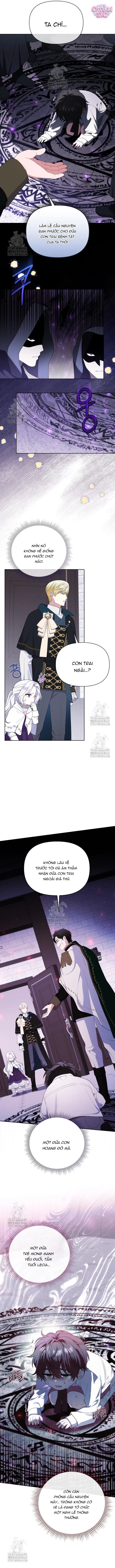 Cái Giá Của Tái Sinh Chapter 11 - 5