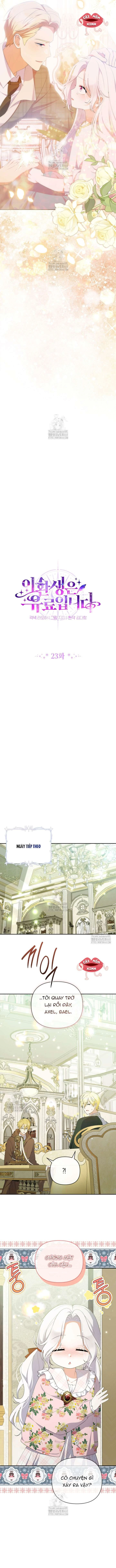 Cái Giá Của Tái Sinh Chapter  23 - 7