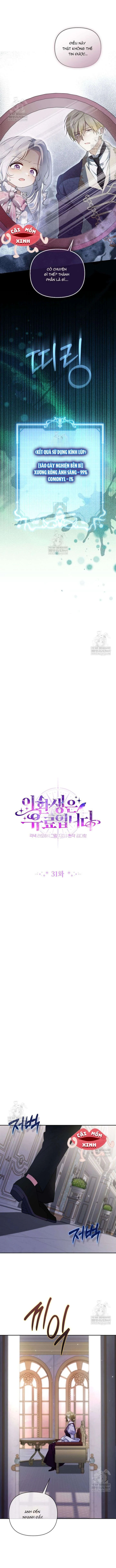 Cái Giá Của Tái Sinh Chapter  31 - 4