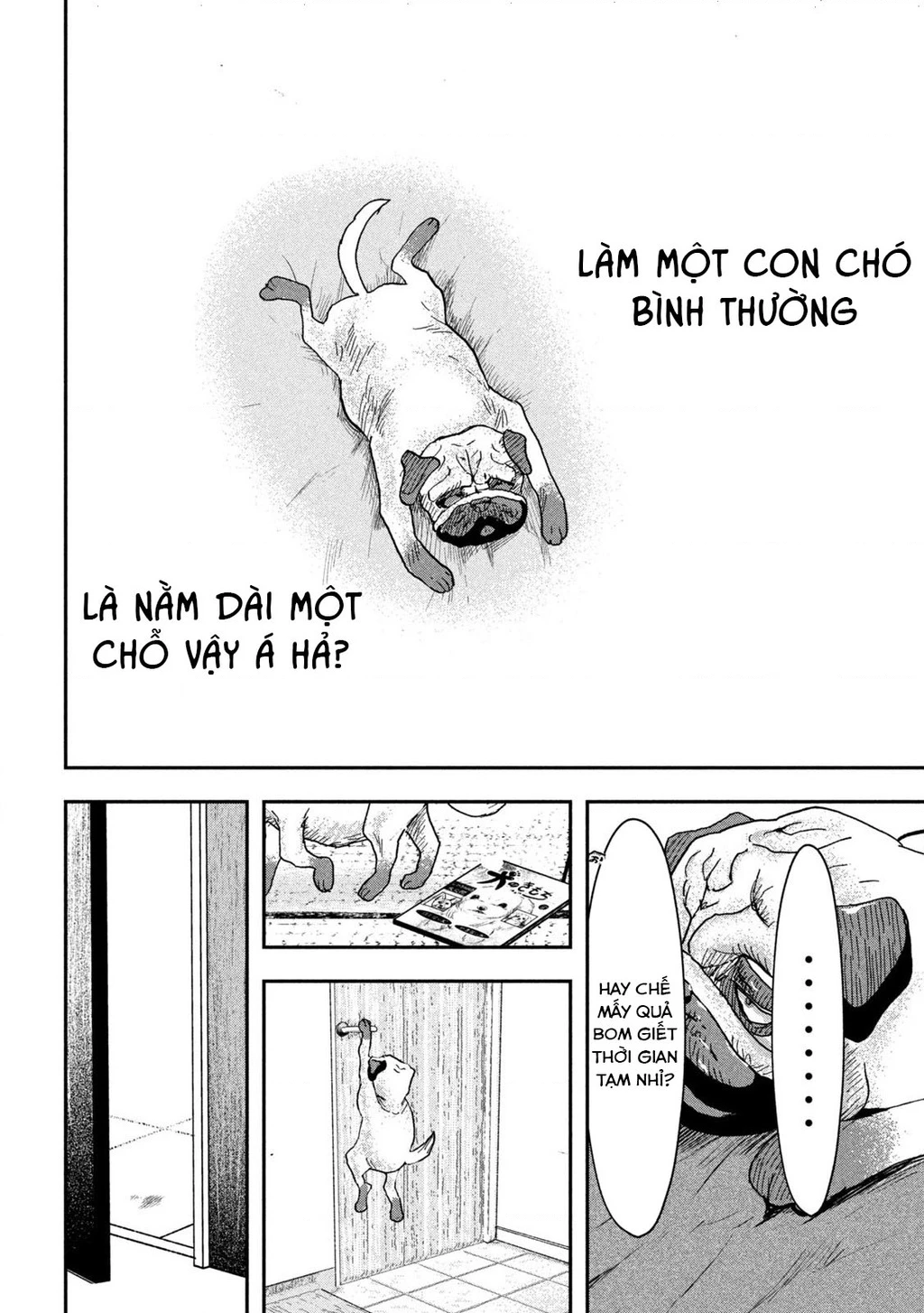INNU - Chú Chó Bá Đạo Chapter 2 - 8