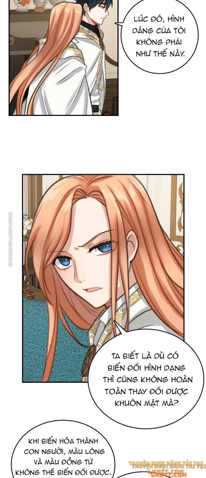 Nhật Ký Tuần Trăng Mật Của Phù Thủy Và Rồng Chapter 12 - 18