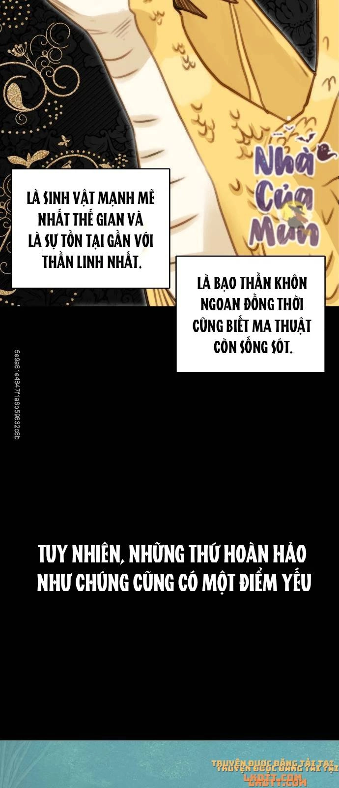 Nhật Ký Tuần Trăng Mật Của Phù Thủy Và Rồng Chapter 12 - 29