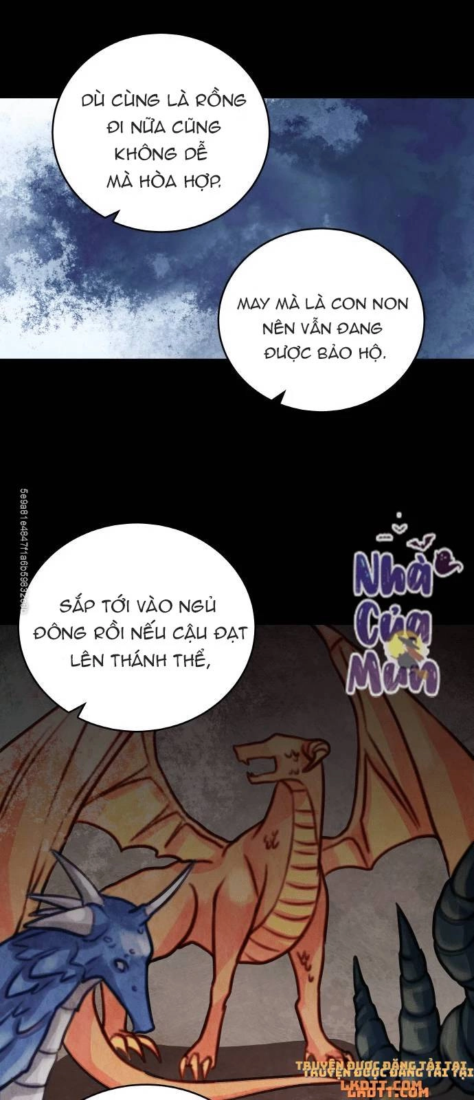 Nhật Ký Tuần Trăng Mật Của Phù Thủy Và Rồng Chapter 12 - 39