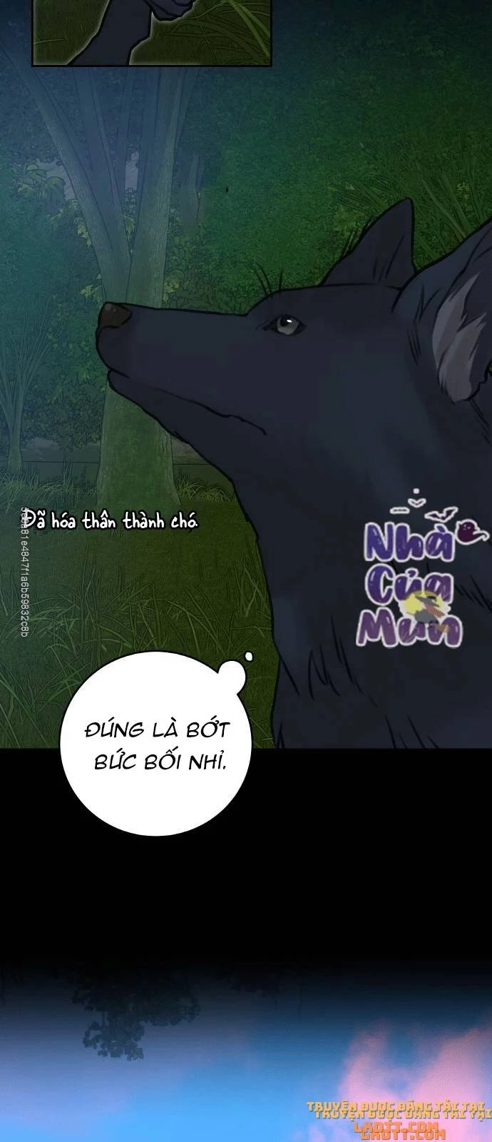 Nhật Ký Tuần Trăng Mật Của Phù Thủy Và Rồng Chapter 12 - 47