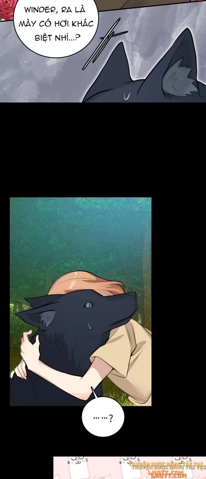 Nhật Ký Tuần Trăng Mật Của Phù Thủy Và Rồng Chapter 14 - 21