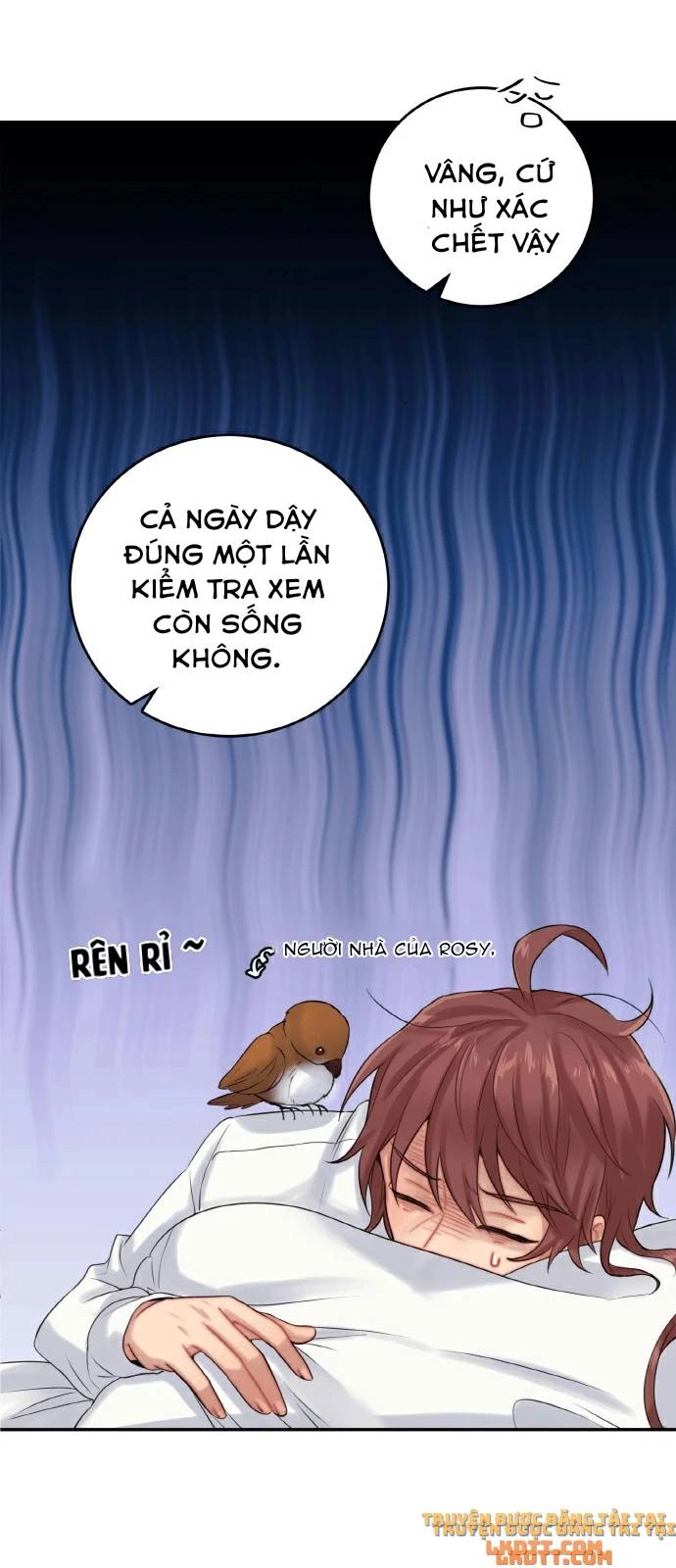 Nhật Ký Tuần Trăng Mật Của Phù Thủy Và Rồng Chapter 22 - 17