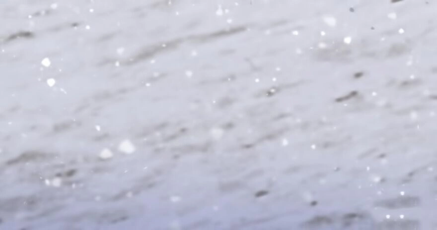 Thả Vu Nữ Đó Ra Chapter 37 - 123