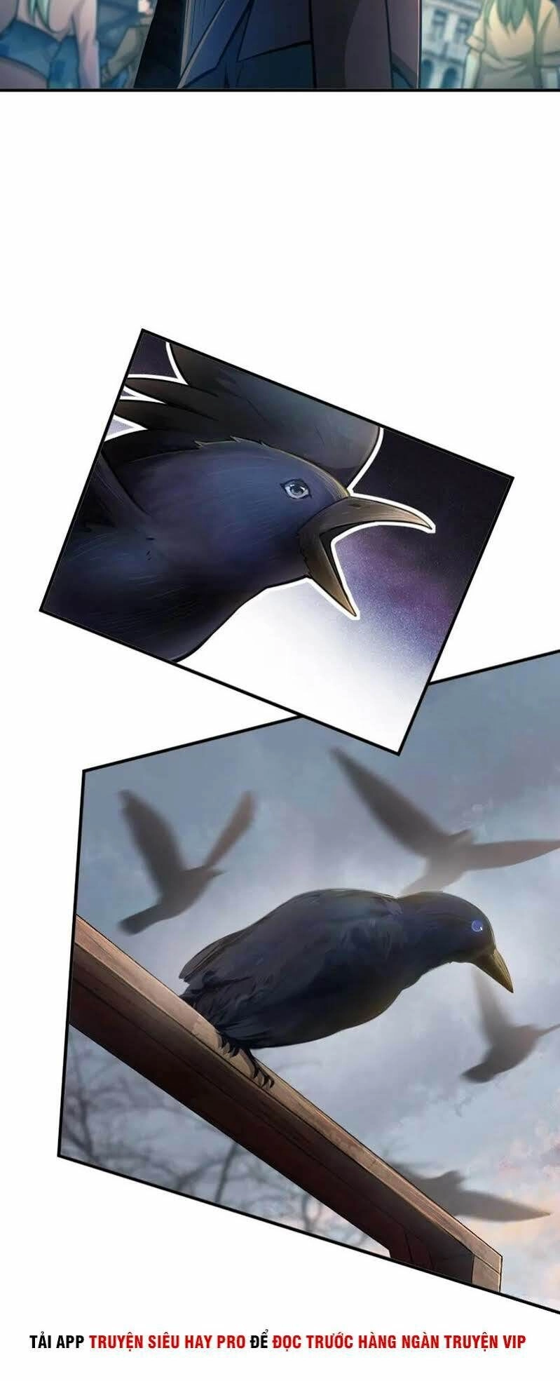 Thả Vu Nữ Đó Ra Chapter 134 - 6