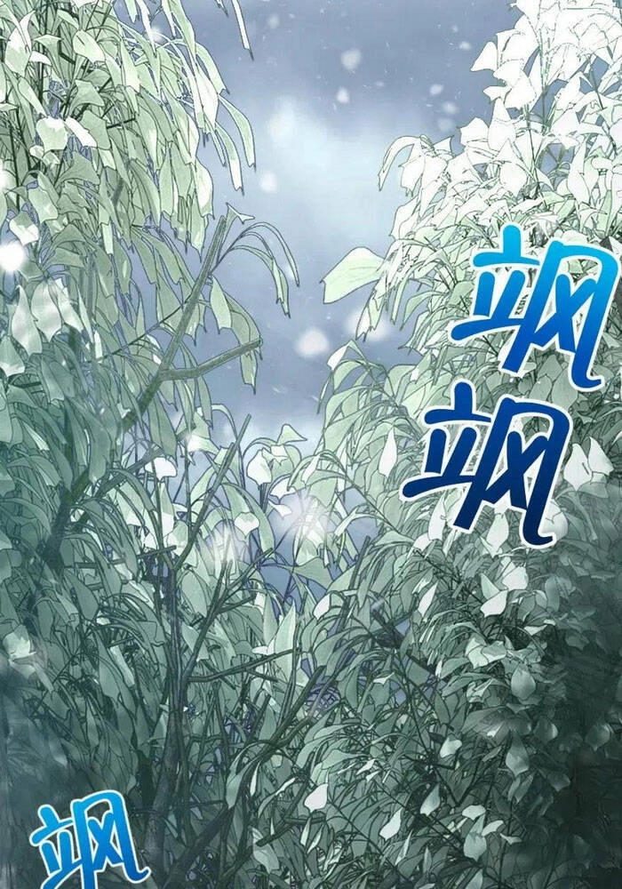 Thả Vu Nữ Đó Ra Chapter 228 - 12