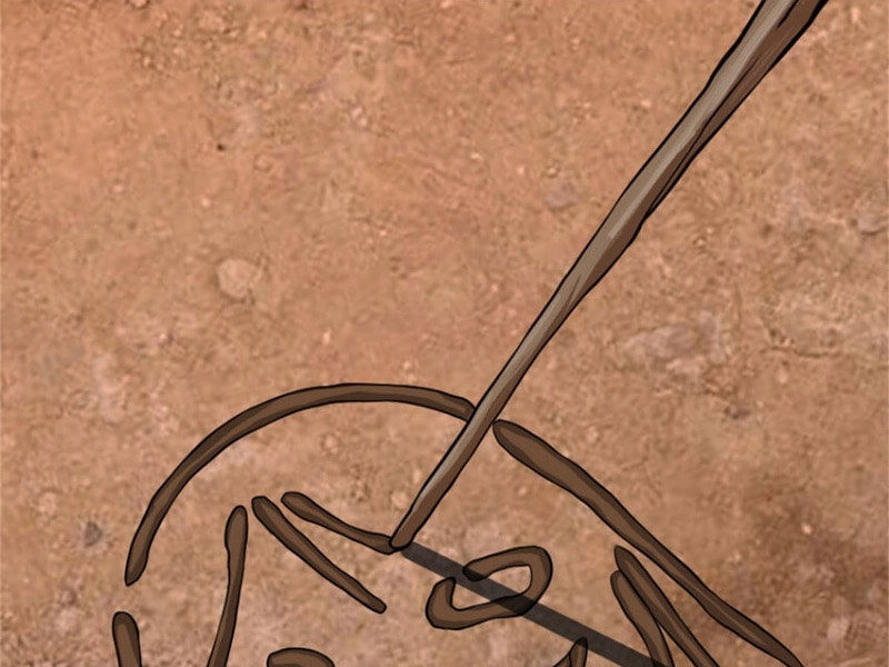 Thả Vu Nữ Đó Ra Chapter 578 - 75