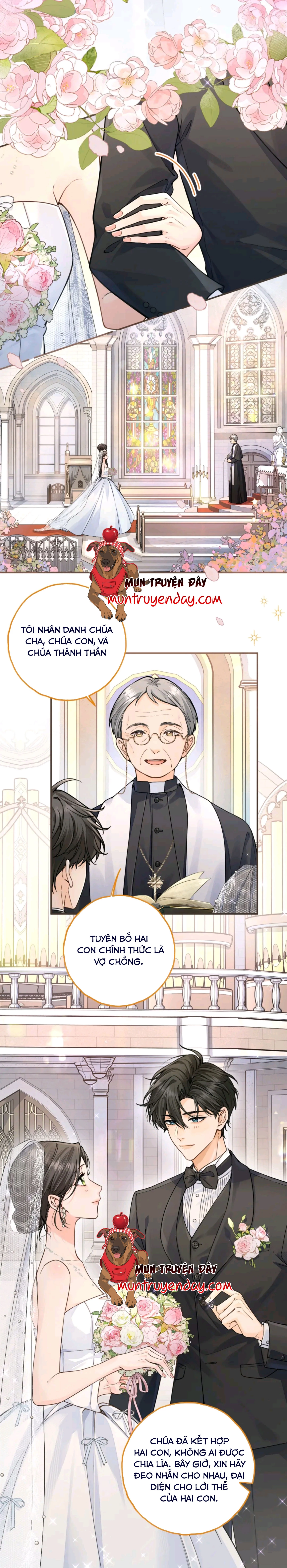 Tổng Tài Đuổi Vợ Lại Khóc Lóc Cầu Xin Vợ Quay Lại Chapter 101 - 3