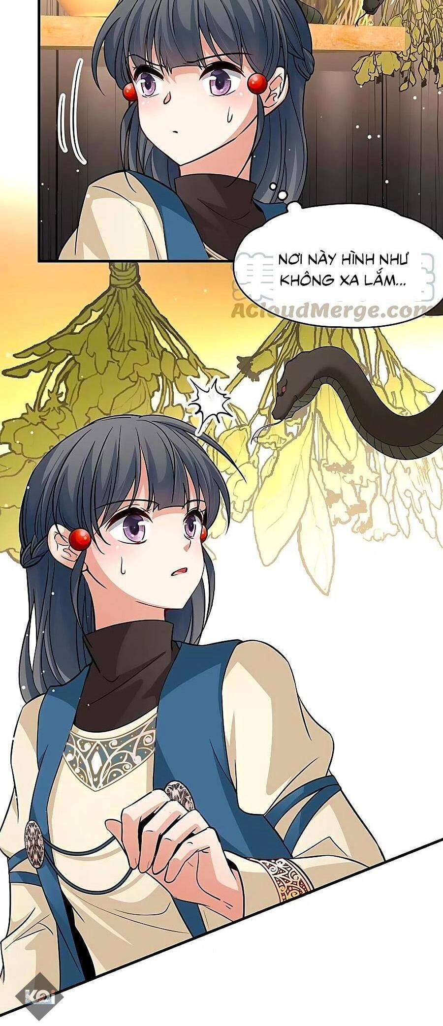 Tầm Trảo Tiền Thế Chi Lữ 2 Chapter 46 - 11