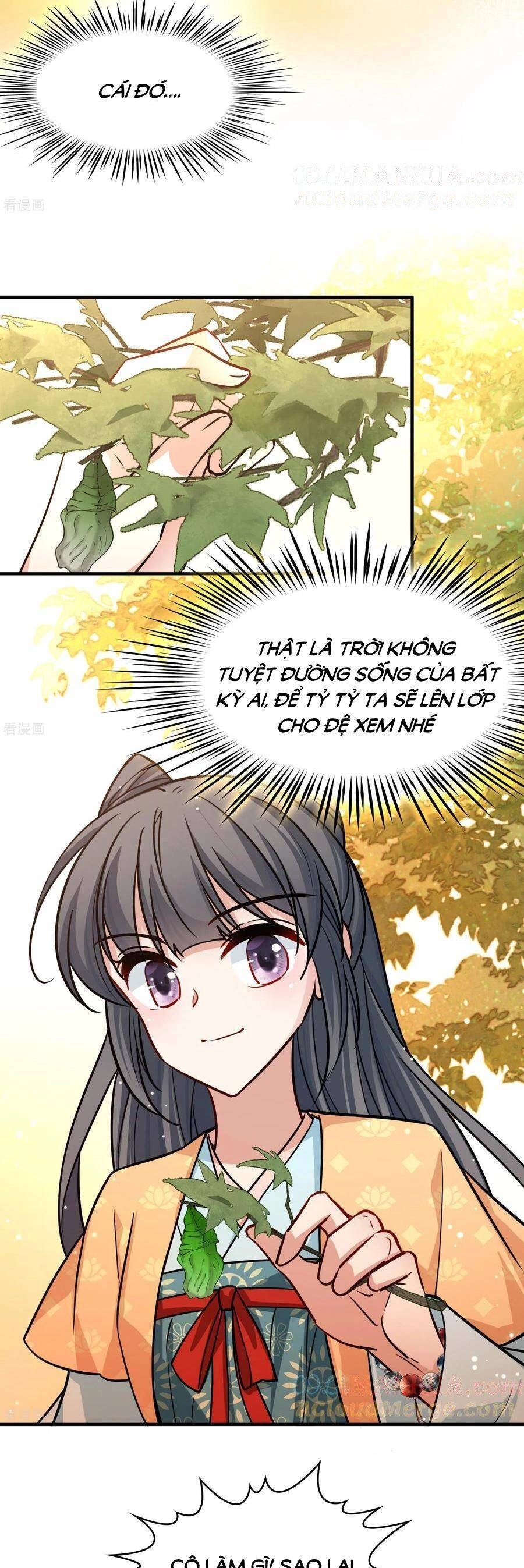 Tầm Trảo Tiền Thế Chi Lữ 2 Chapter 221 - 10