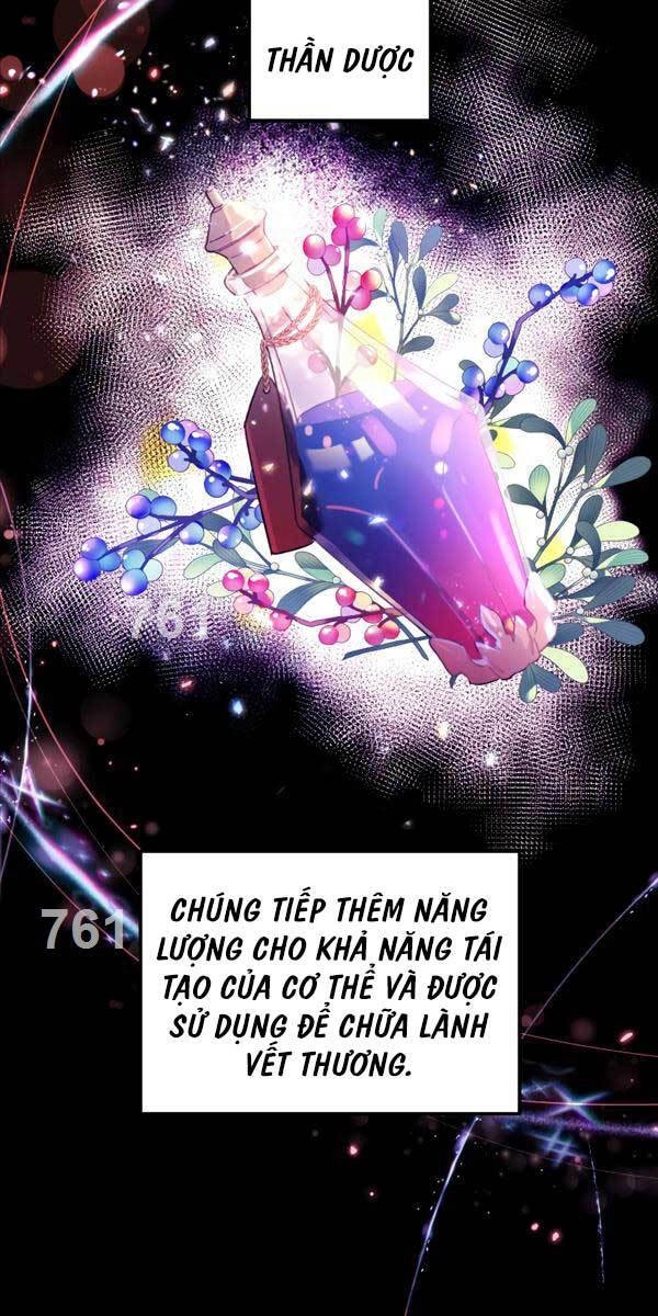 Hoàng Kim Pháp Sư Chapter 28 - 2