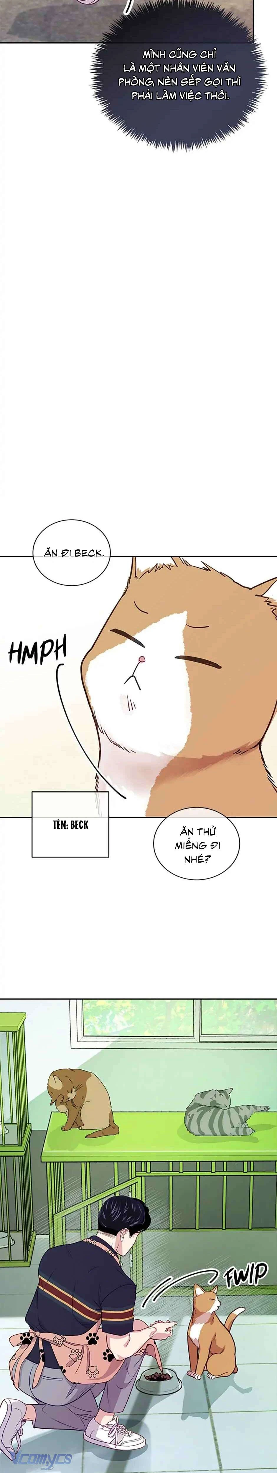 Lời Tỏ Tình Đáng Ngờ Chapter 19 - 22