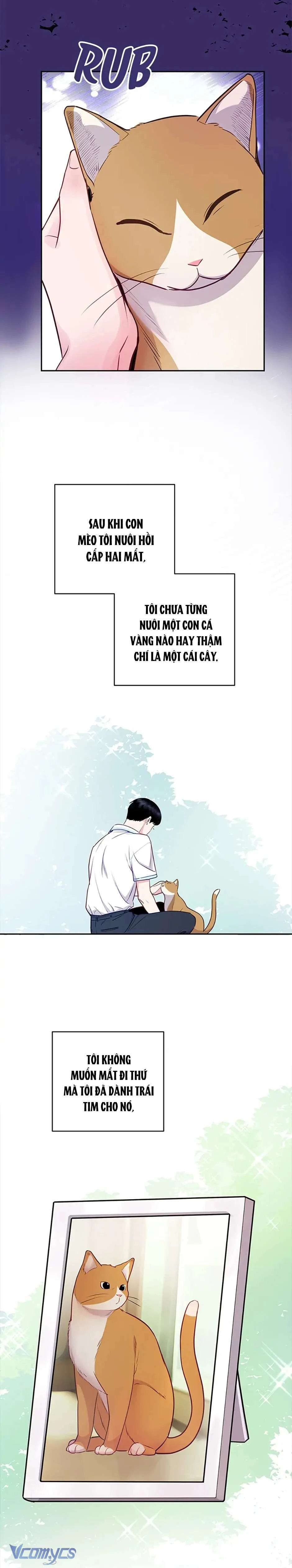 Lời Tỏ Tình Đáng Ngờ Chapter 27 - 25